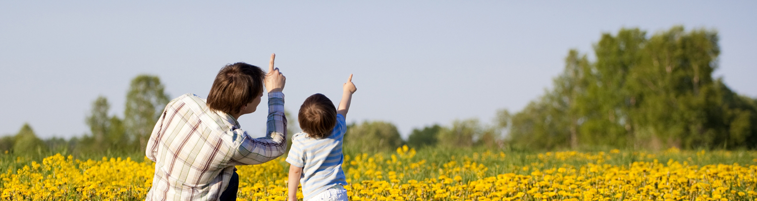 Mississippi Life Insurance Coverage